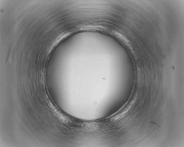 X0000059041041200510281537