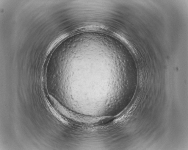 X0000059041042200510281537