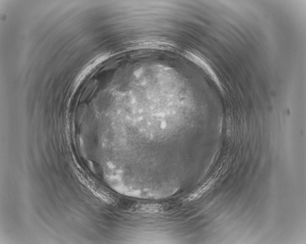 X0000059041043200510281537