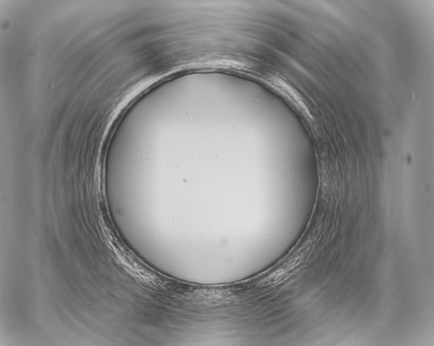 X0000059041044200510281537