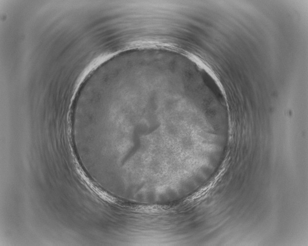 X0000059041045200510281537