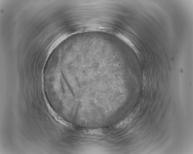 X0000059041047200510281537