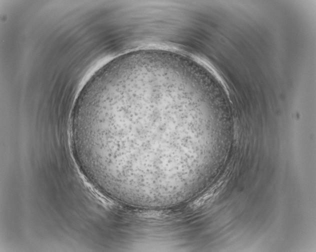 X0000059041048200510281537