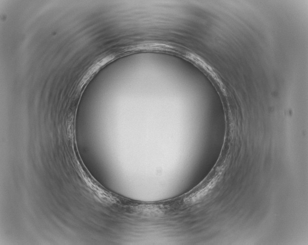 X0000059041049200510281537