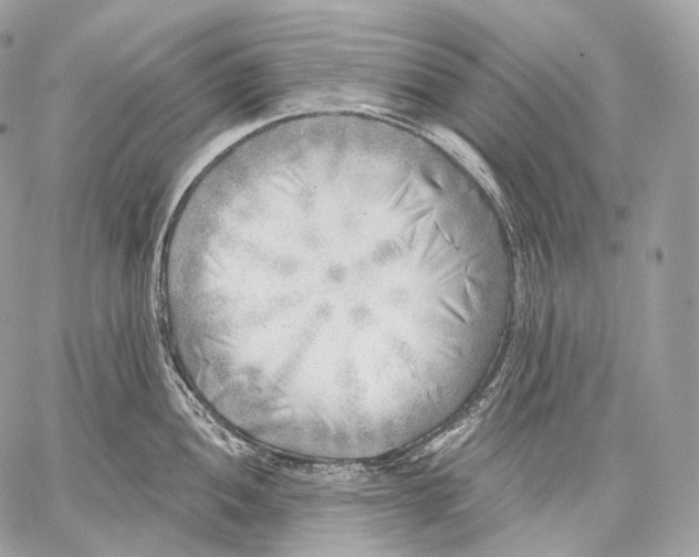 X0000059041052200510281537