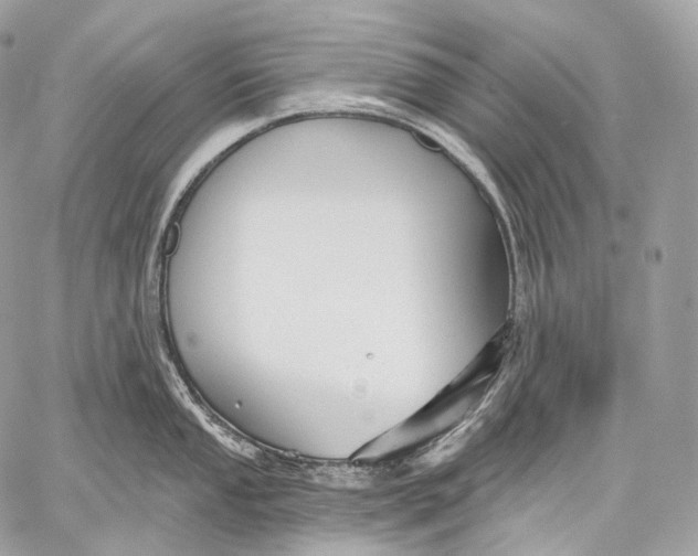 X0000059041053200510281537