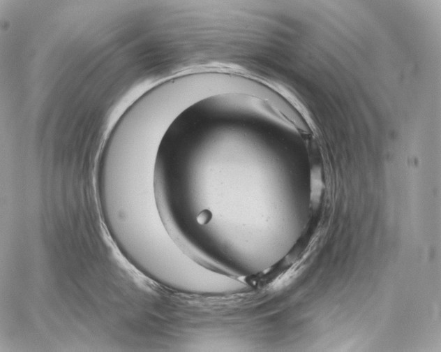 X0000059041054200510281537