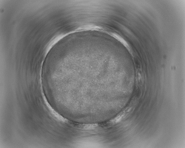 X0000059041055200510281537