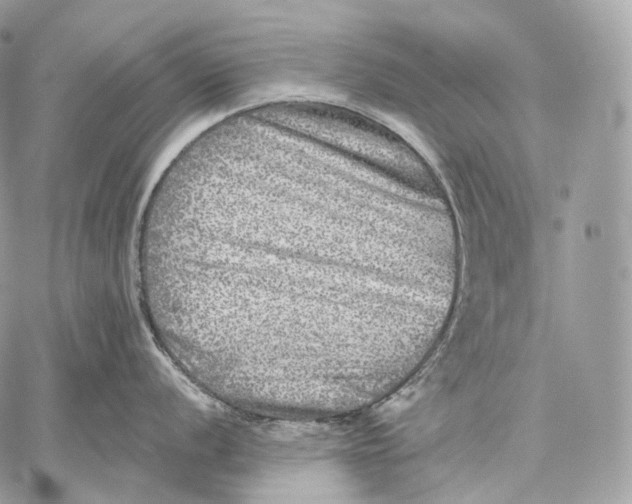 X0000059041056200510281537