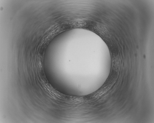 X0000059041058200510281536