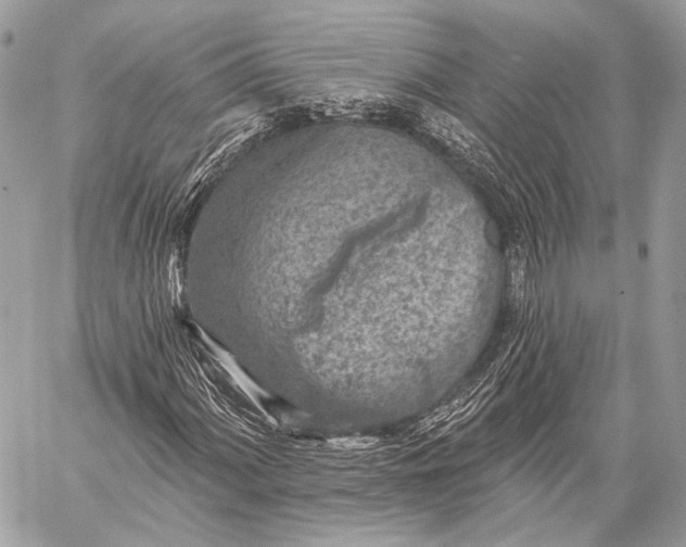 X0000059041060200510281536