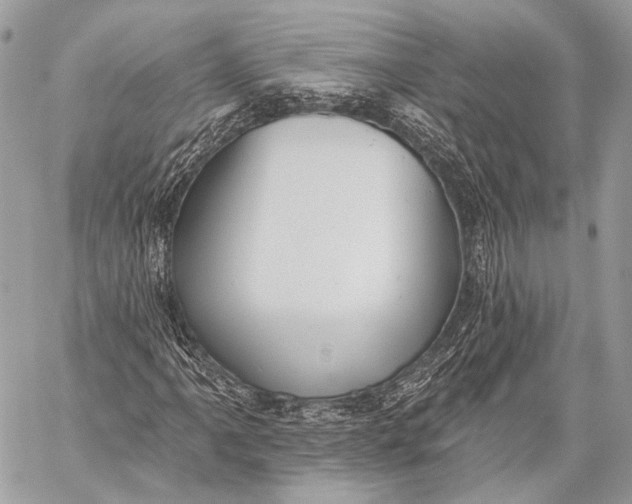 X0000059041061200510281536