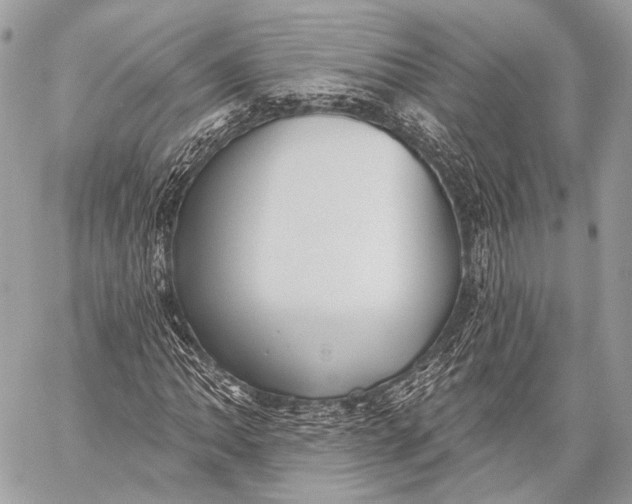 X0000059041062200510281536