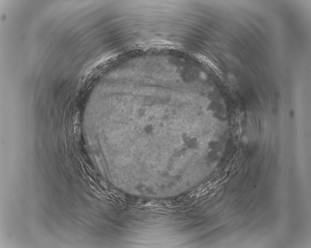 X0000059041063200510281536