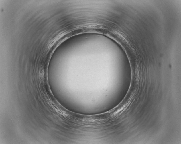 X0000059041065200510281536