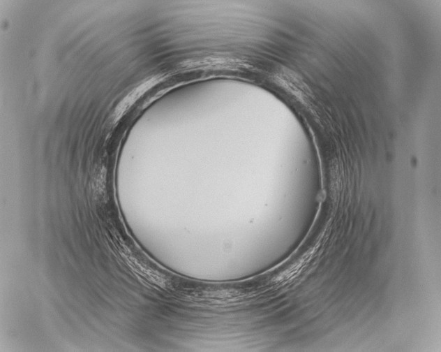 X0000059041066200510281536