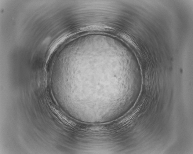 X0000059041067200510281536