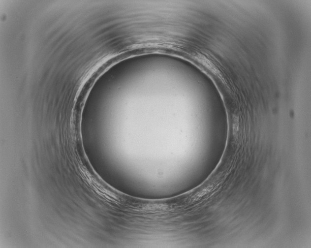 X0000059041068200510281536