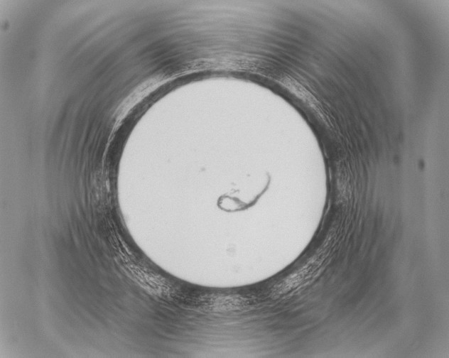 X0000059041070200510281536