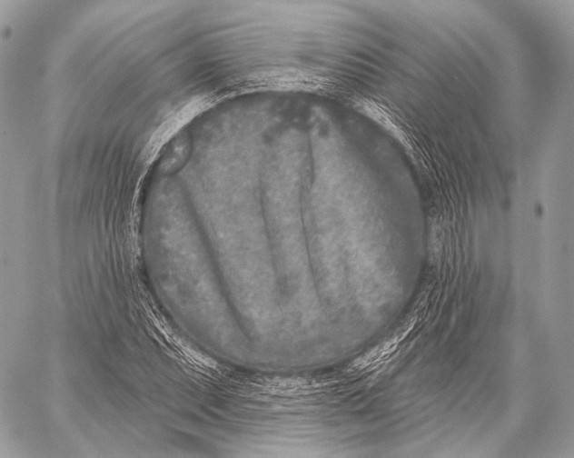 X0000059041071200510281536