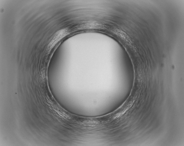 X0000059041073200510281536