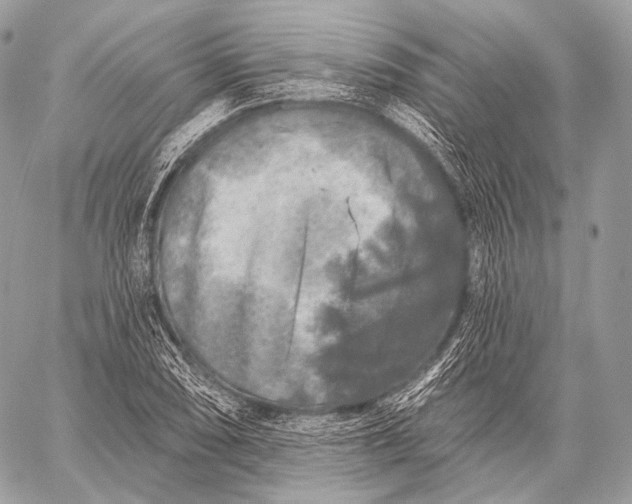 X0000059041074200510281536