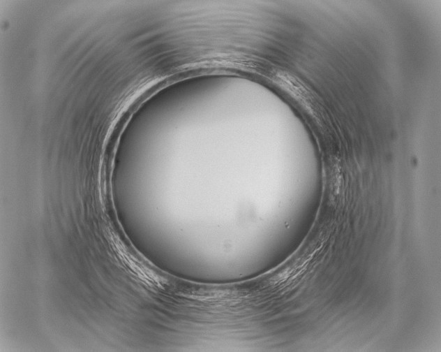 X0000059041076200510281536