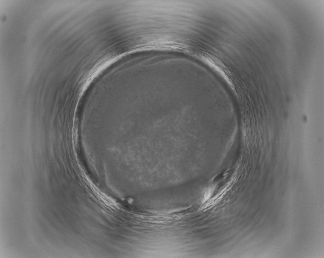 X0000059041077200510281536