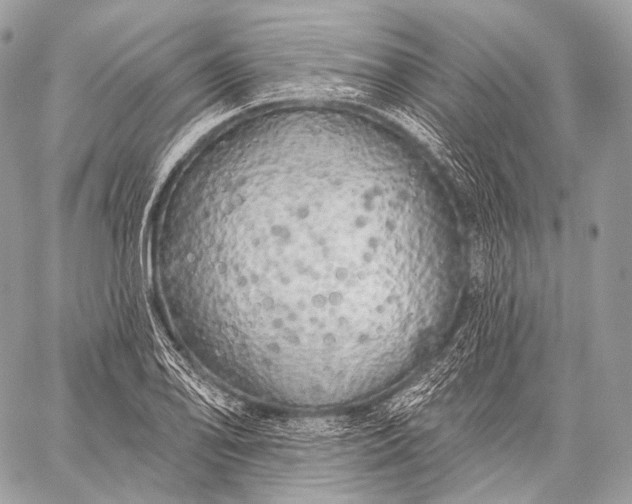 X0000059041078200510281536