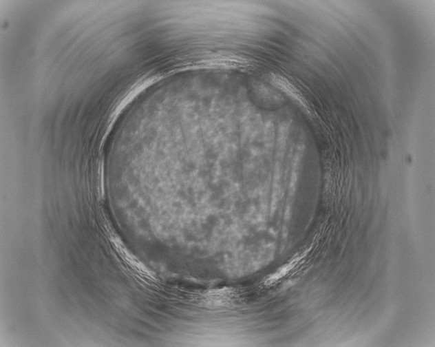 X0000059041079200510281536