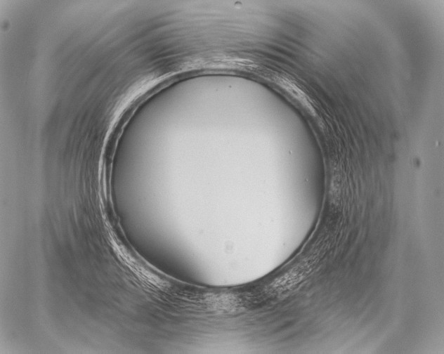 X0000059041080200510281536