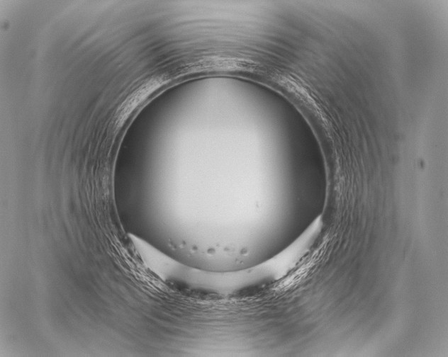 X0000059041081200510281536