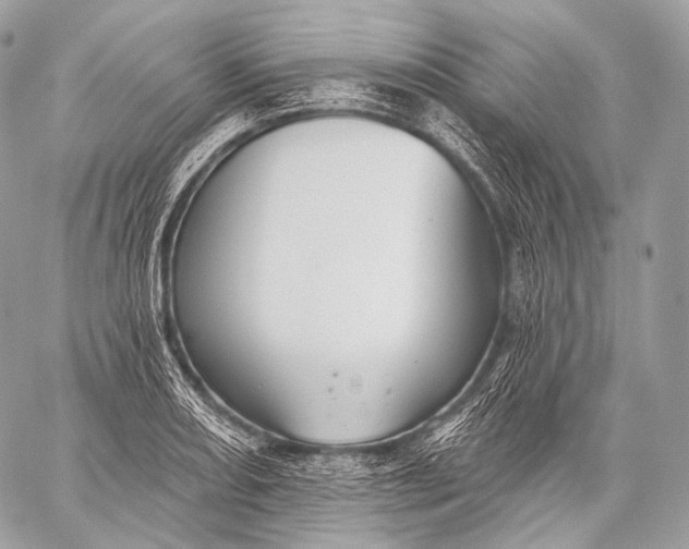 X0000059041082200510281536