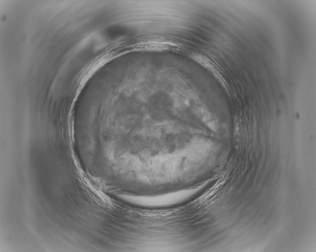 X0000059041083200510281536