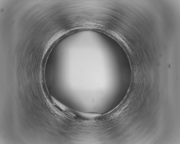 X0000059041085200510281536