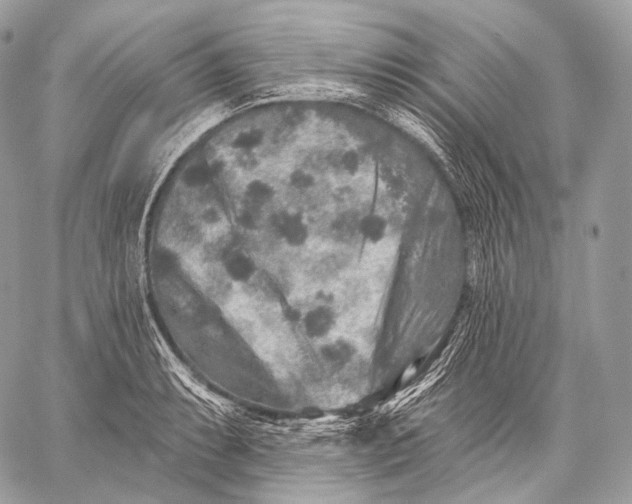 X0000059041087200510281536