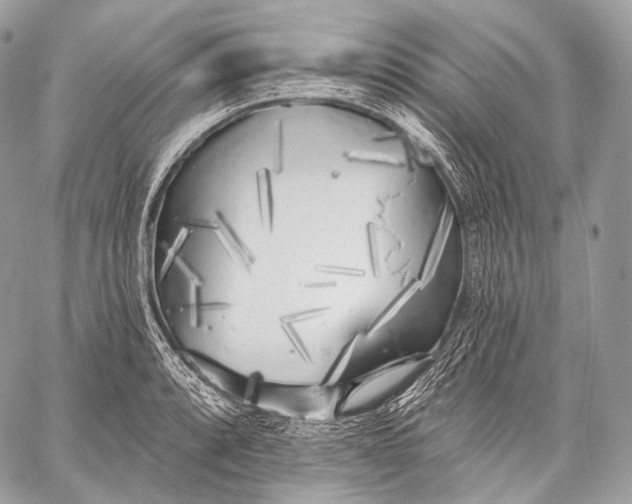 X0000059041088200510281536