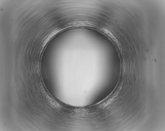 X0000059041089200510281536