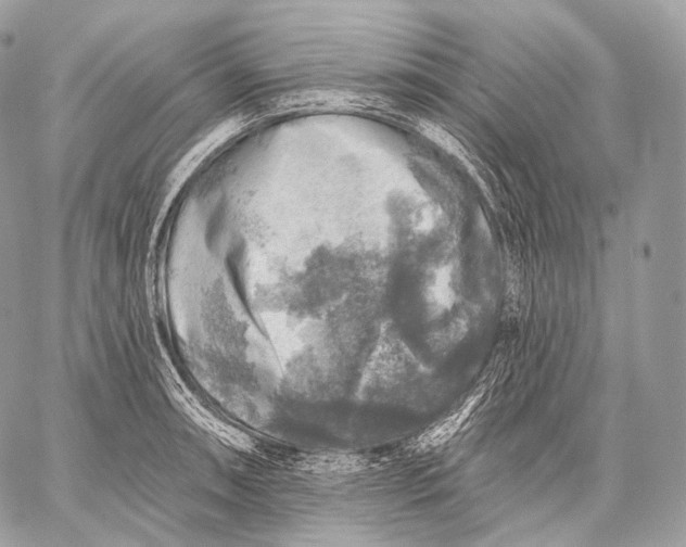 X0000059041090200510281536