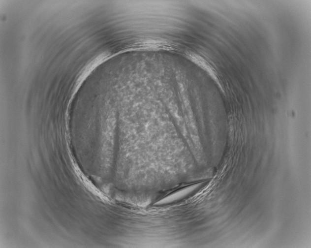 X0000059041091200510281536