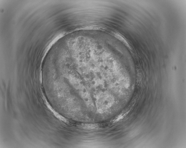 X0000059041095200510281536