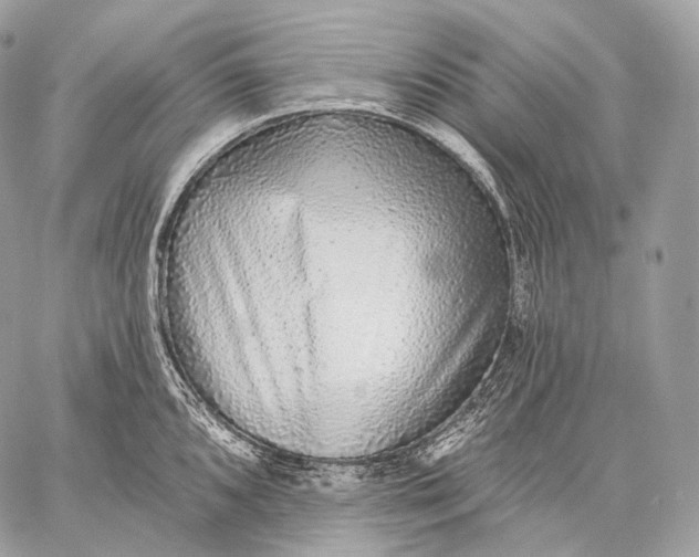 X0000059041096200510281536