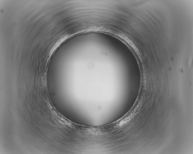 X0000059041097200510281536