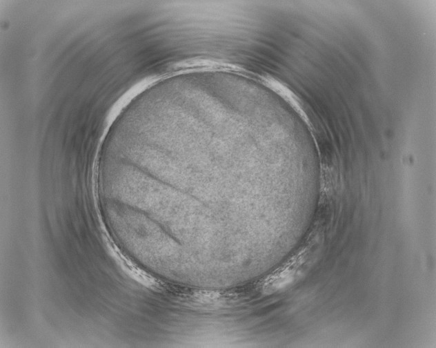 X0000059041098200510281536