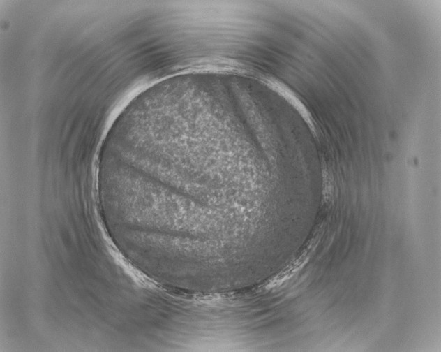 X0000059041099200510281536