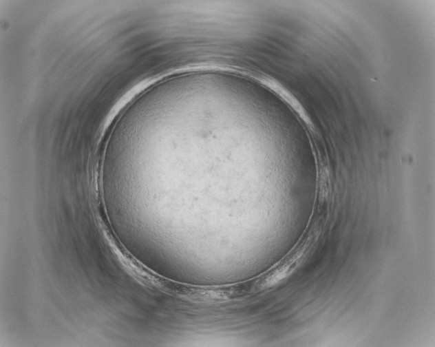 X0000059041101200510281536