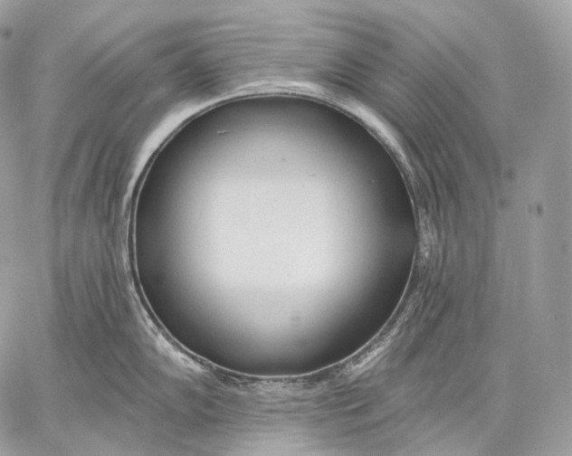 X0000059041102200510281536