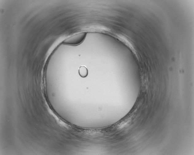 X0000059041103200510281536