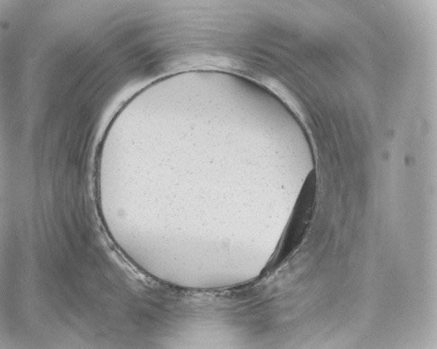 X0000059041104200510281536