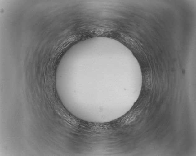 X0000059041105200510281535